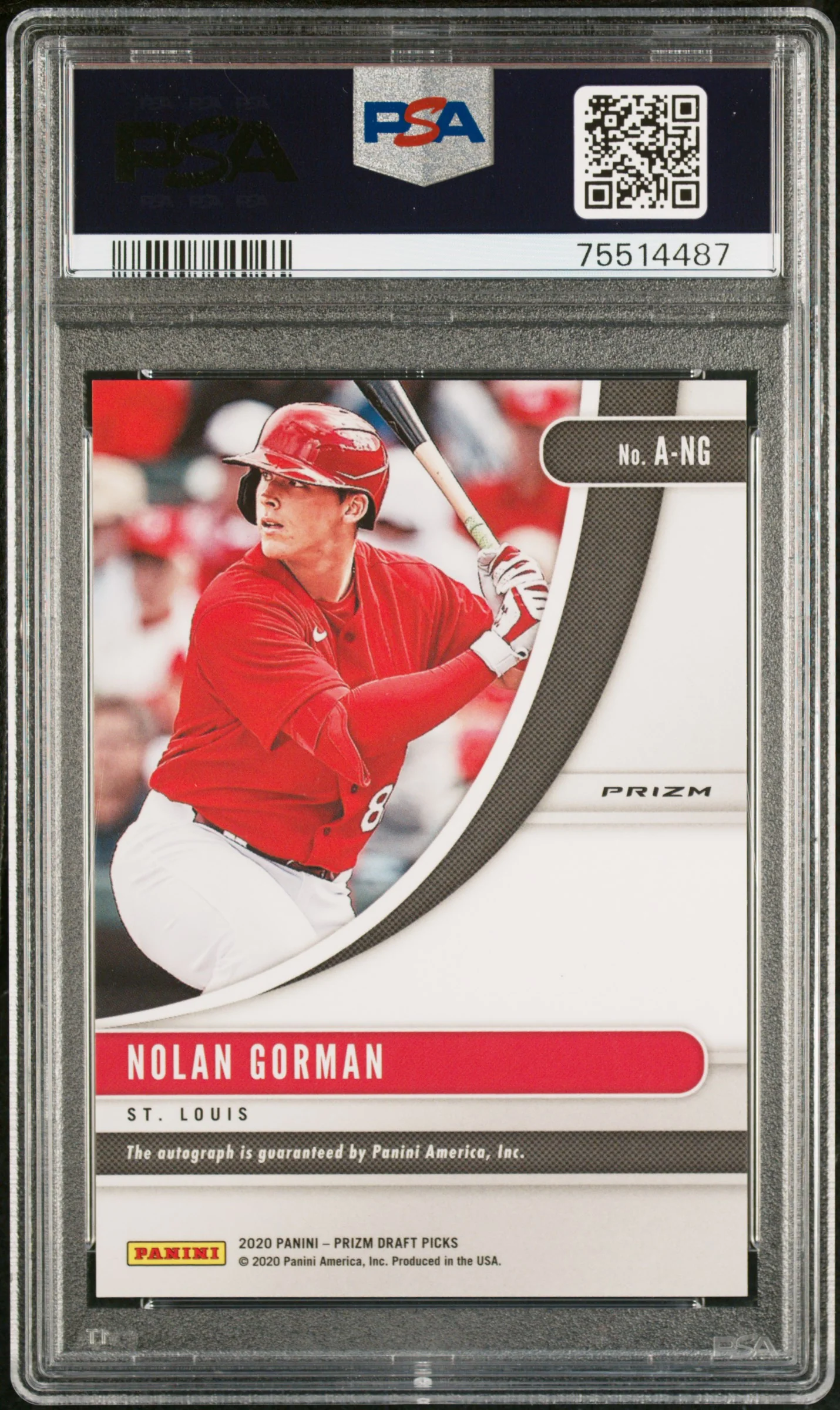 2020 Panini Prizm Draft Picks Autographs Nolan Gorman #A-NG Auto PSA 10 - Image 2