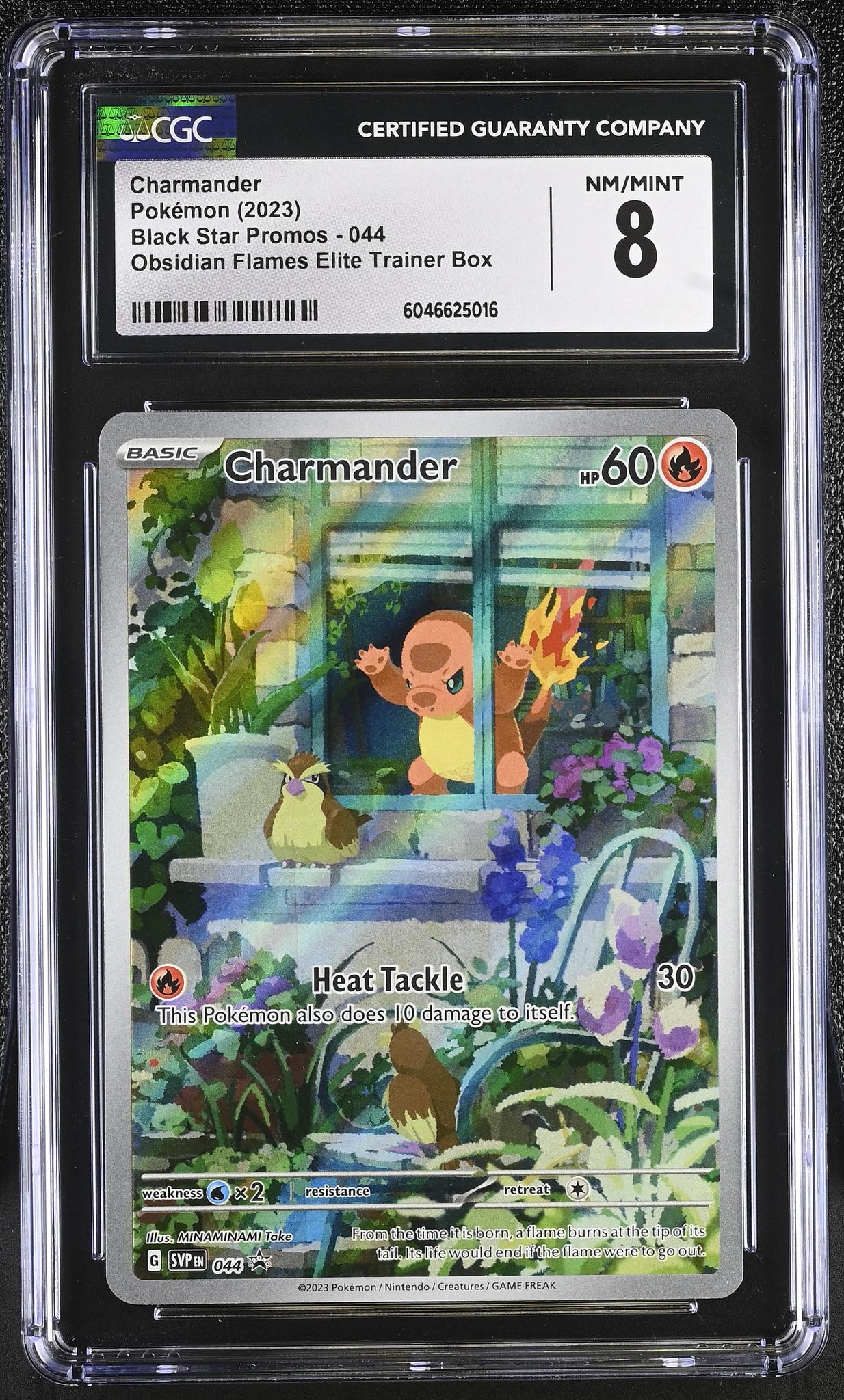 2023 Pokémon Scarlet & Violet Black Star Promo Charmander #SVP044 Holo CGC 8 - Image 2