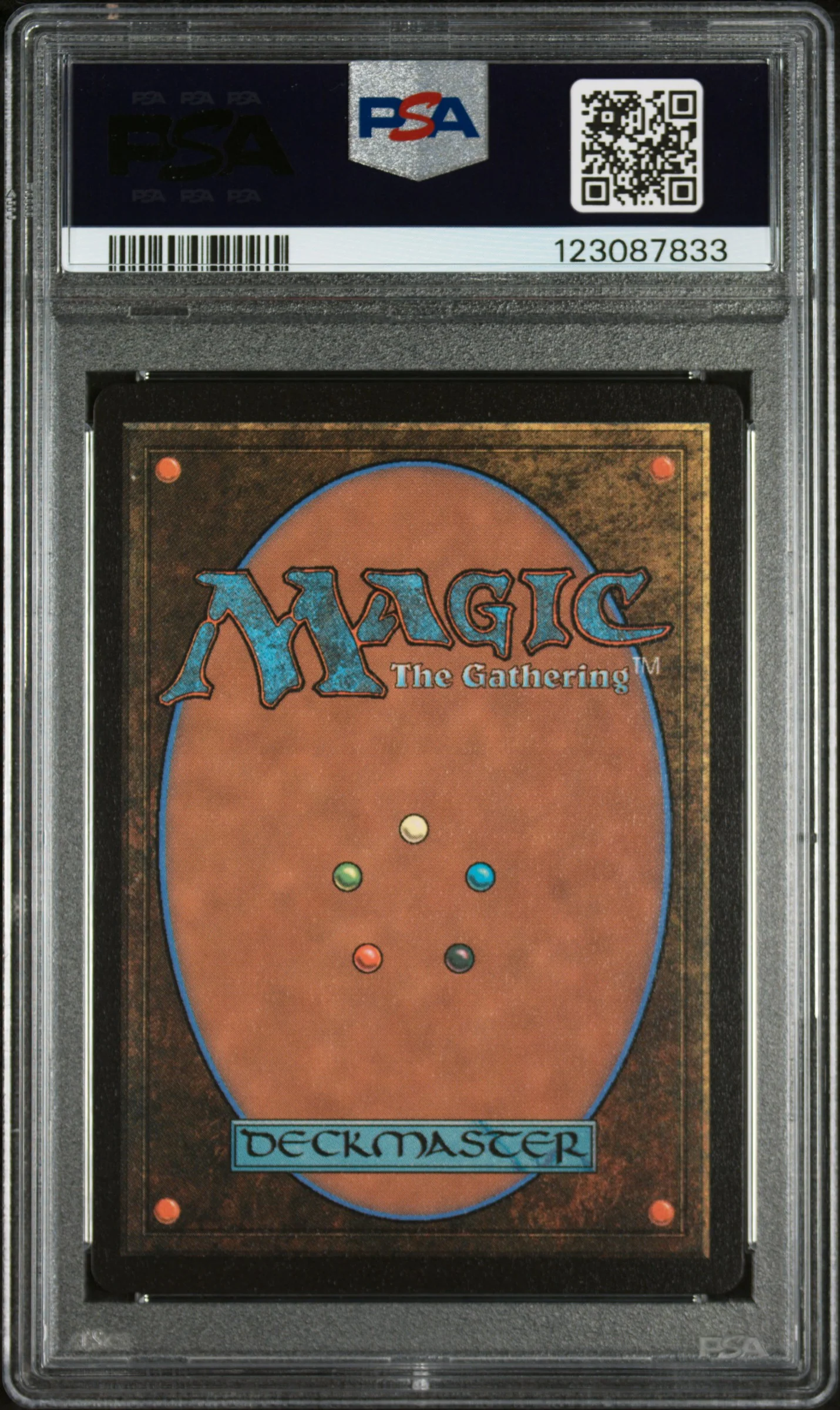 2024 Magic the Gathering Foundations Jumpstart Scythecat Cub #24 PSA 9 - Image 2