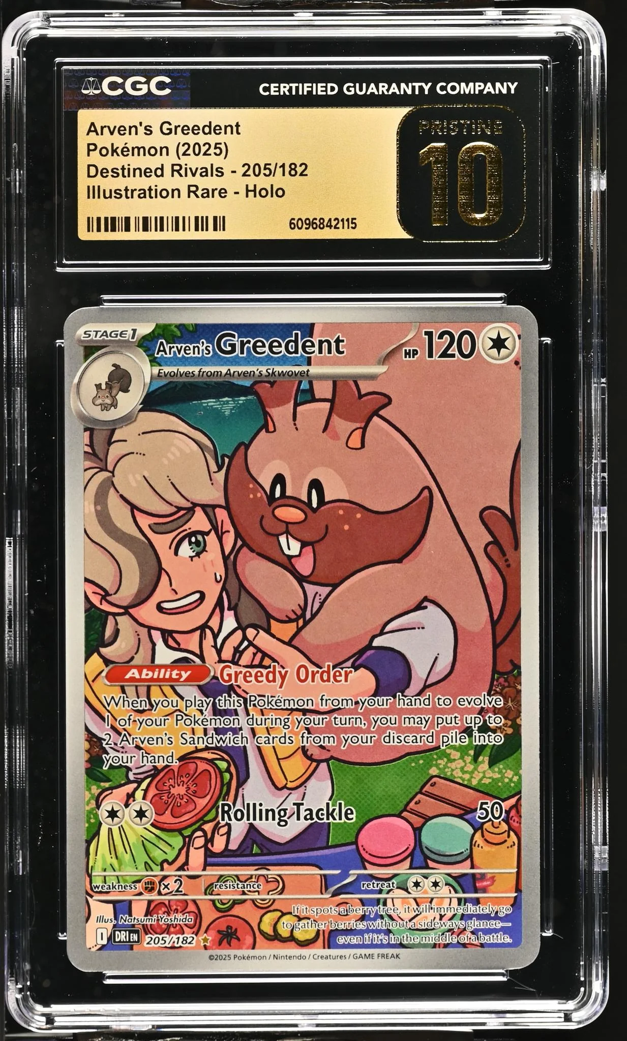 2025 Pokemon #205/182 Arven's Greedent Destined Rivals CGC 10
